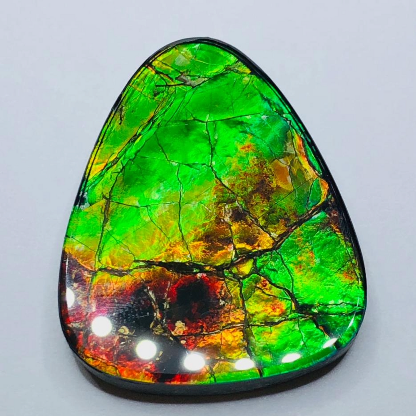 Canadian Freeform AA Grade Ammolite Triplet Gem 28x34mm
