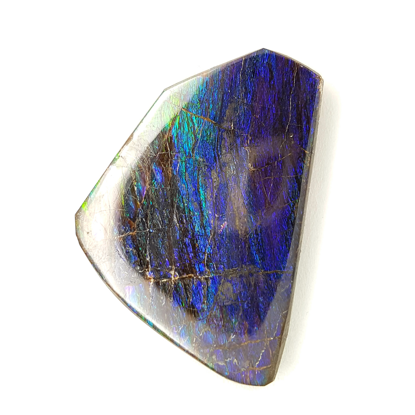 Canadian Ammolite Freeform Triplet – 33x25mm Blue & Green Gem