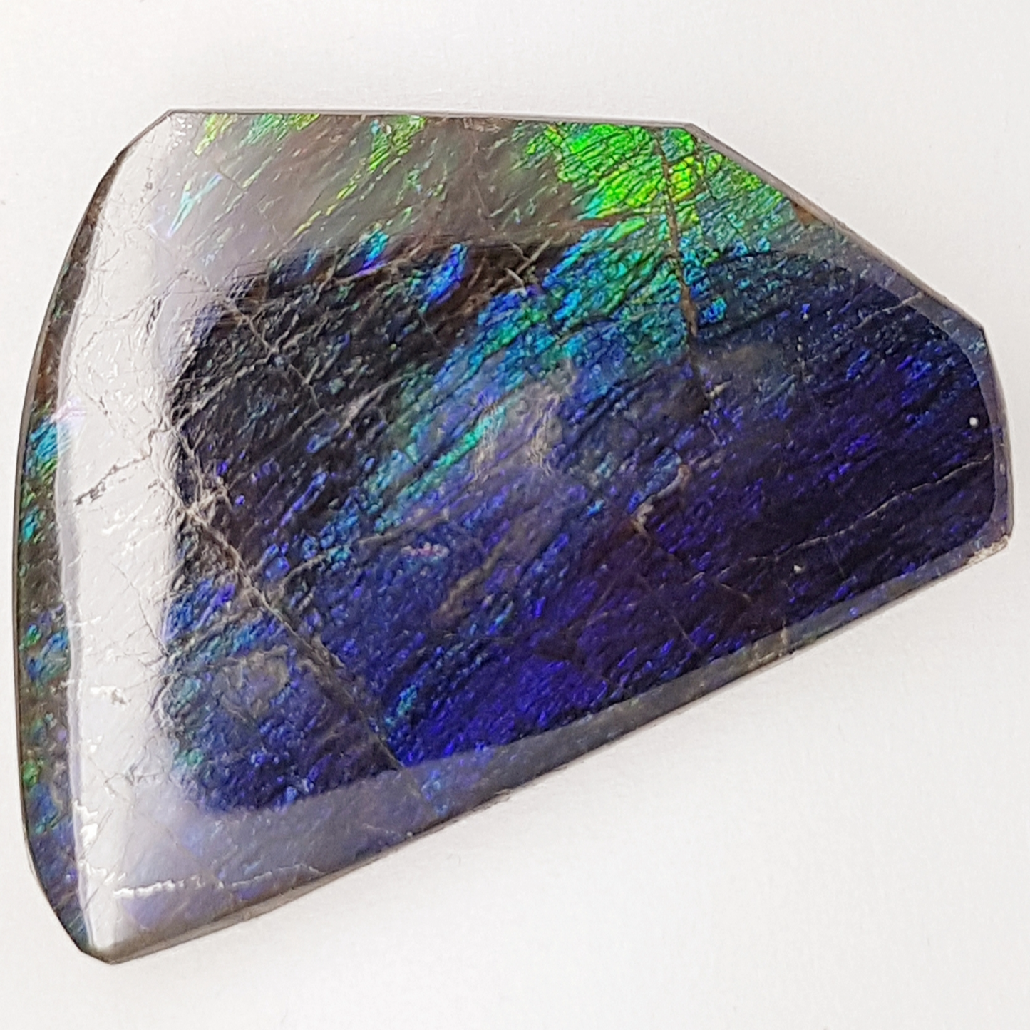 Canadian Ammolite Freeform Triplet – 33x25mm Blue & Green Gem