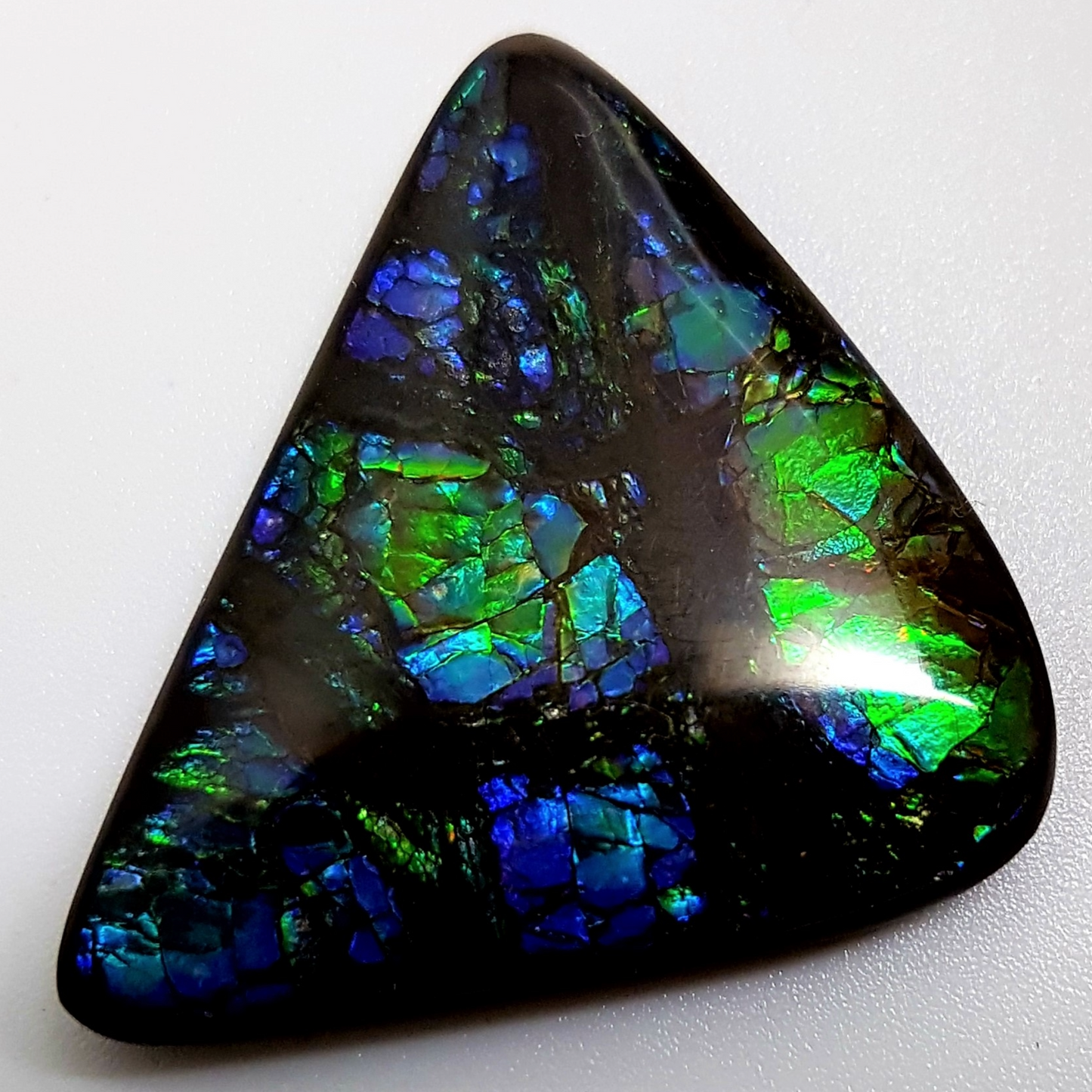 Genuine Canadian 27x29mm A-Grade Free-Form Ammolite Gemstone – Blue & Green