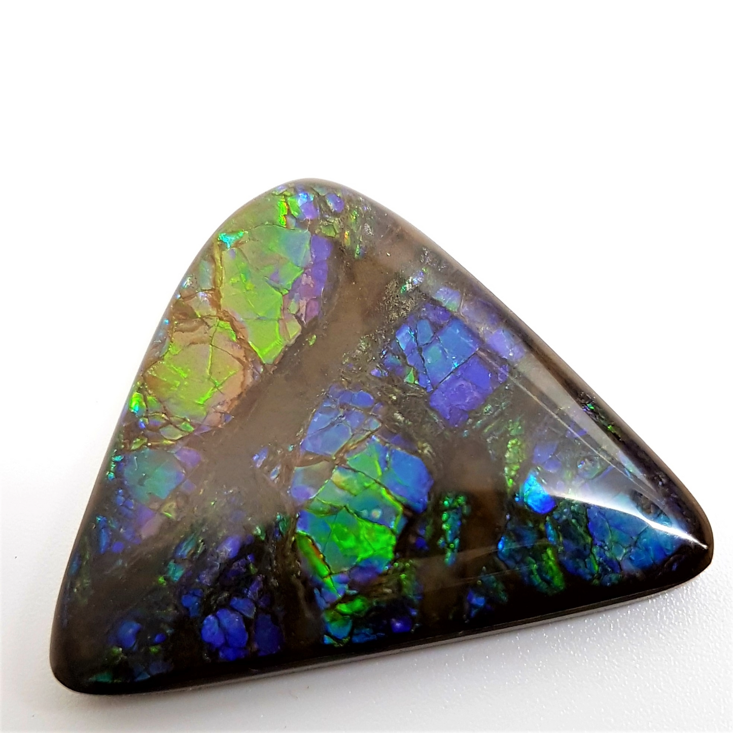 Genuine Canadian 27x29mm A-Grade Free-Form Ammolite Gemstone – Blue & Green