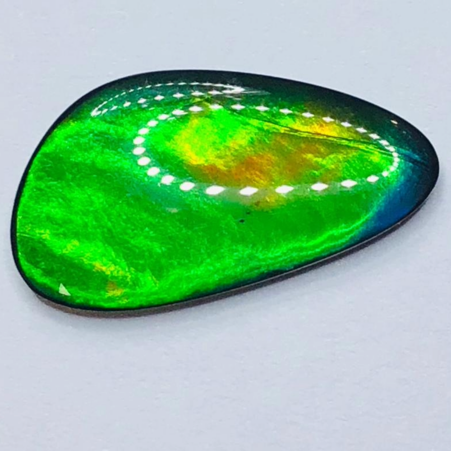 Genuine Ammolite "Canada’s Opal" – 22x12mm Free-Form A-Grade Vivid Green Gem