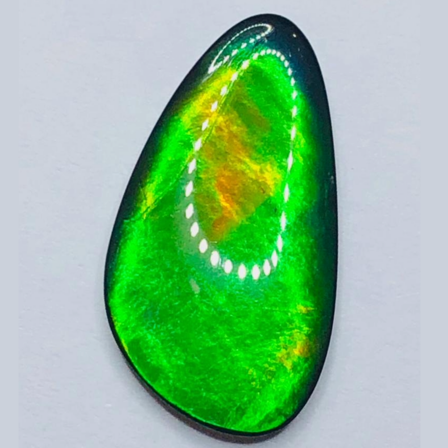 Genuine Ammolite "Canada’s Opal" – 22x12mm Free-Form A-Grade Vivid Green Gem