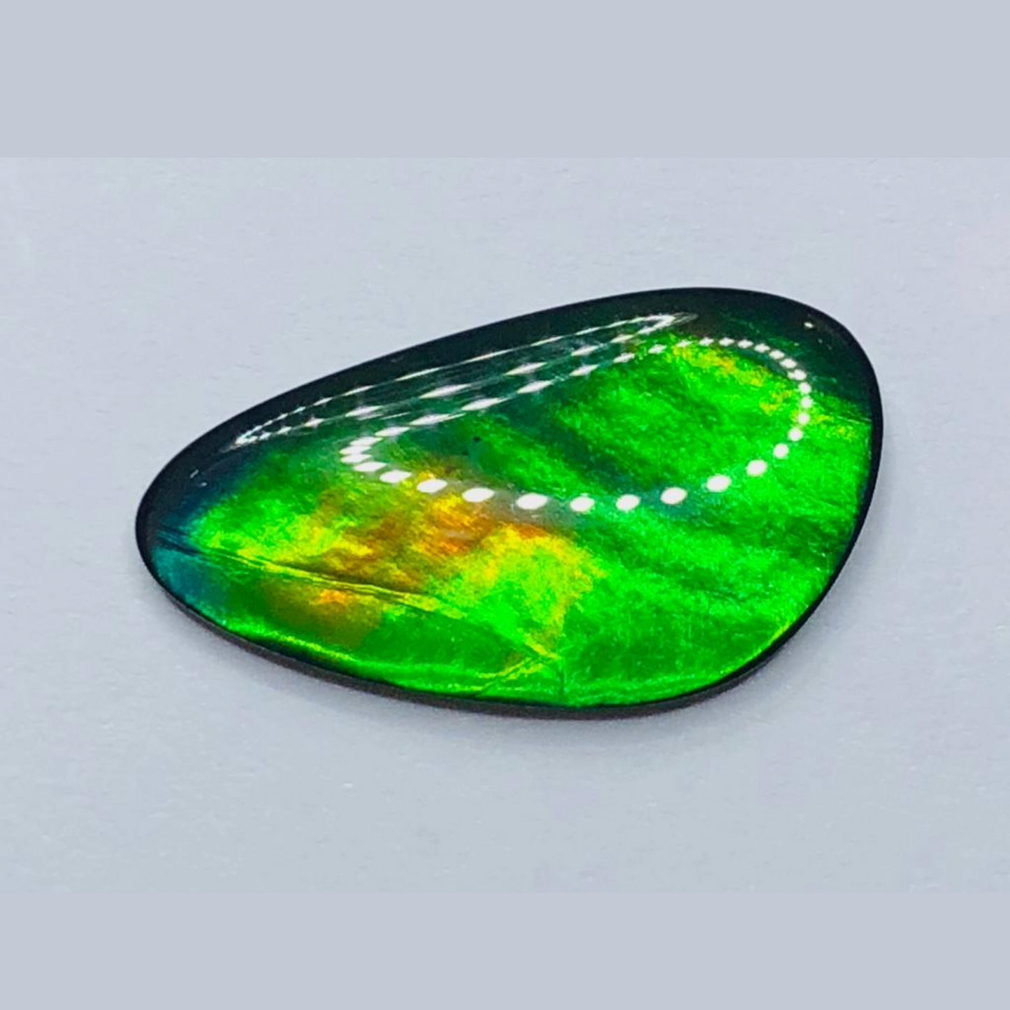 Genuine Ammolite "Canada’s Opal" – 22x12mm Free-Form A-Grade Vivid Green Gem