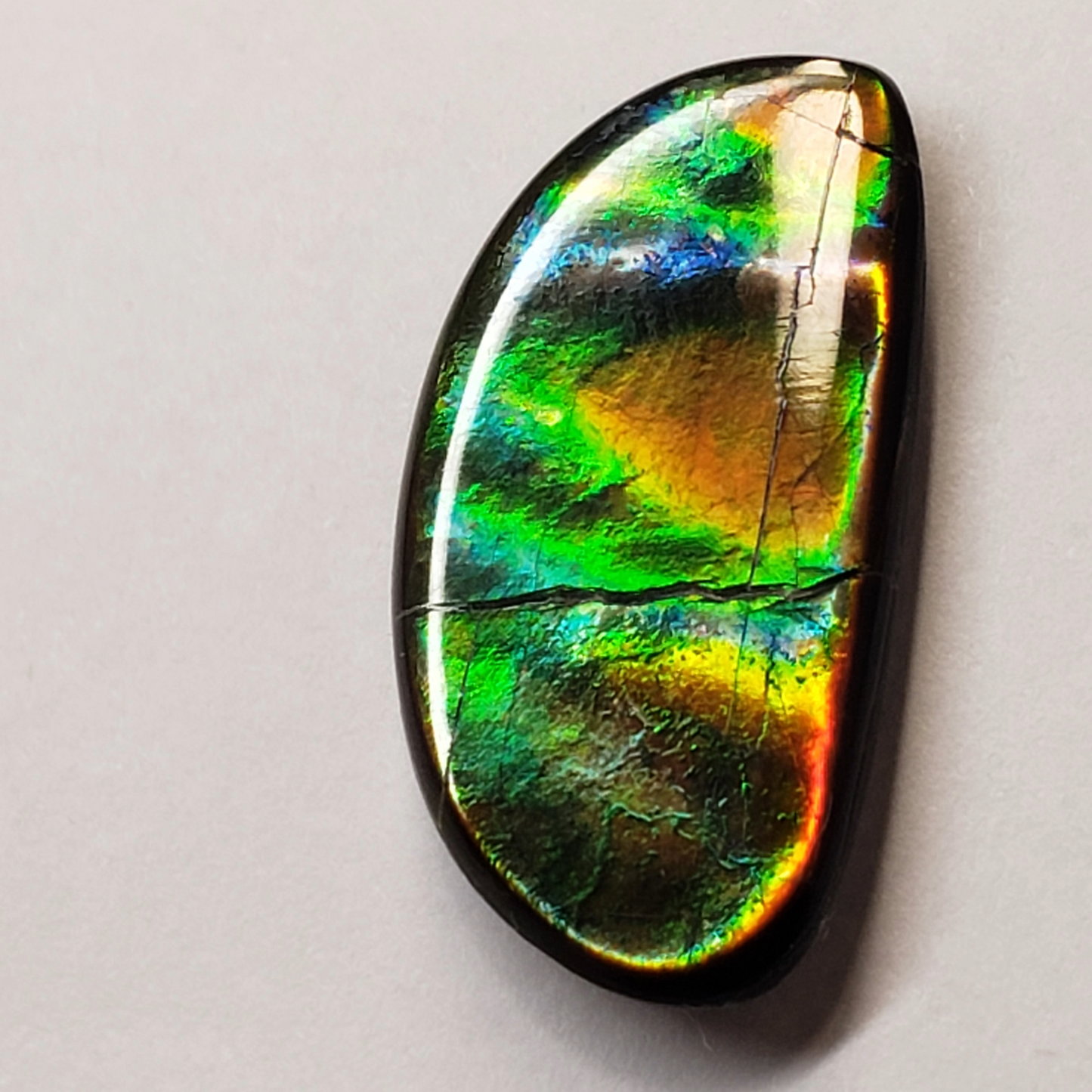 13x26mm Ammolite Canada's Opal Natural Free Form 2 Color Green & Gold Gemstone