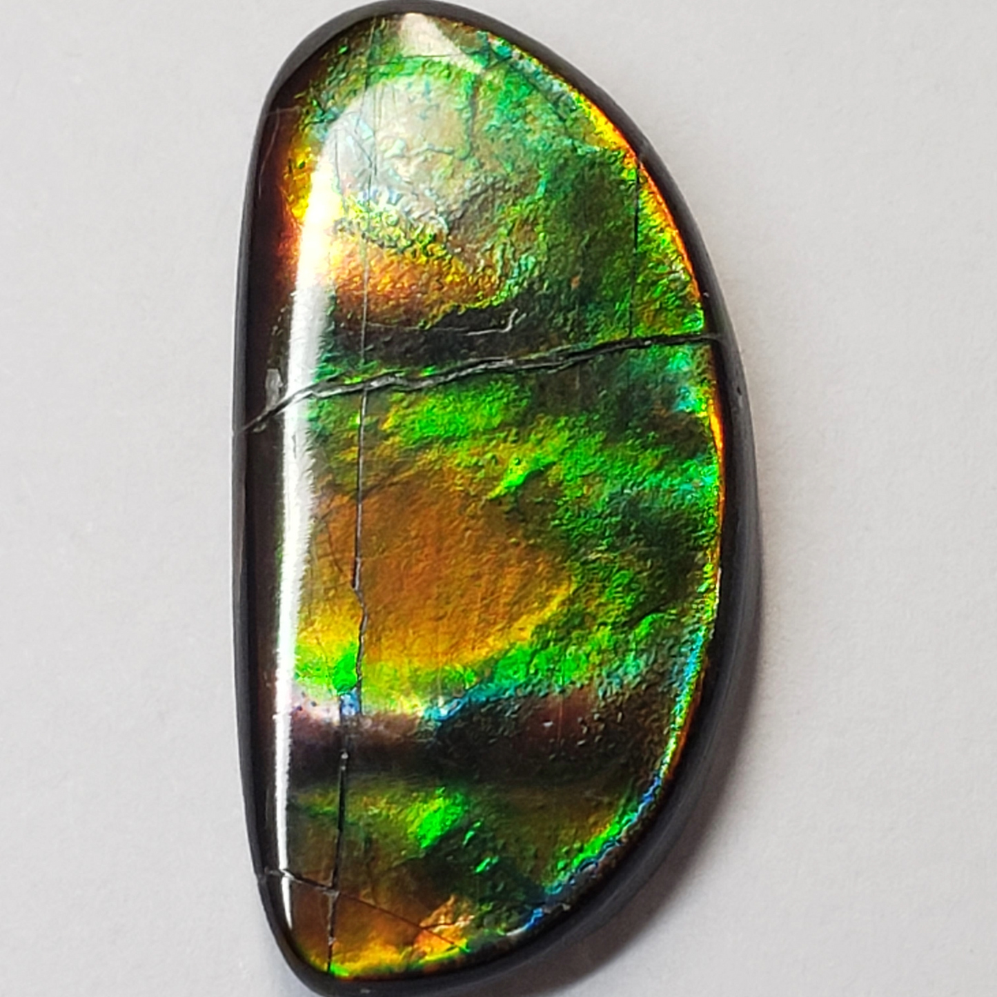 13x26mm Ammolite Canada's Opal Natural Free Form 2 Color Green & Gold Gemstone