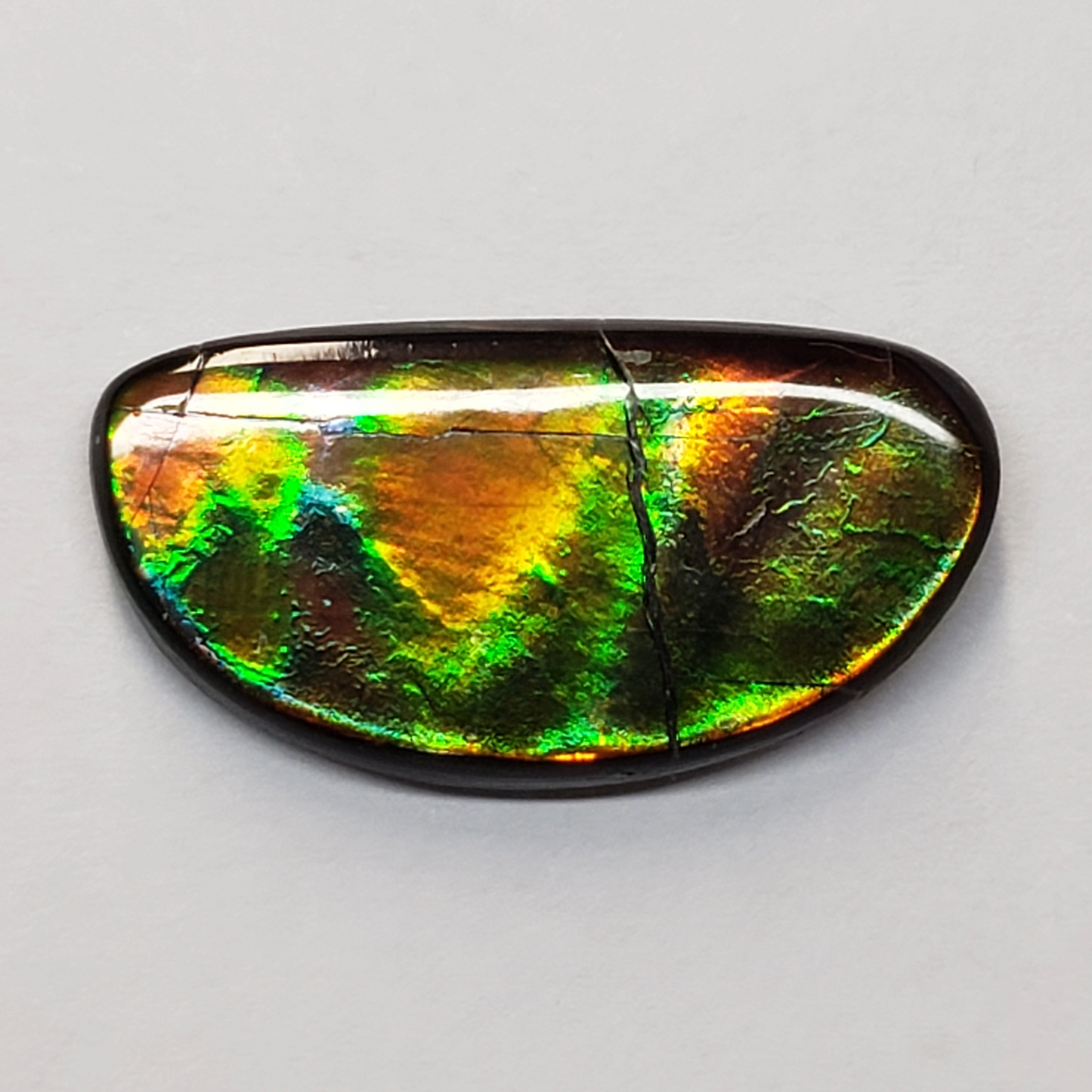 13x26mm Ammolite Canada's Opal Natural Free Form 2 Color Green & Gold Gemstone