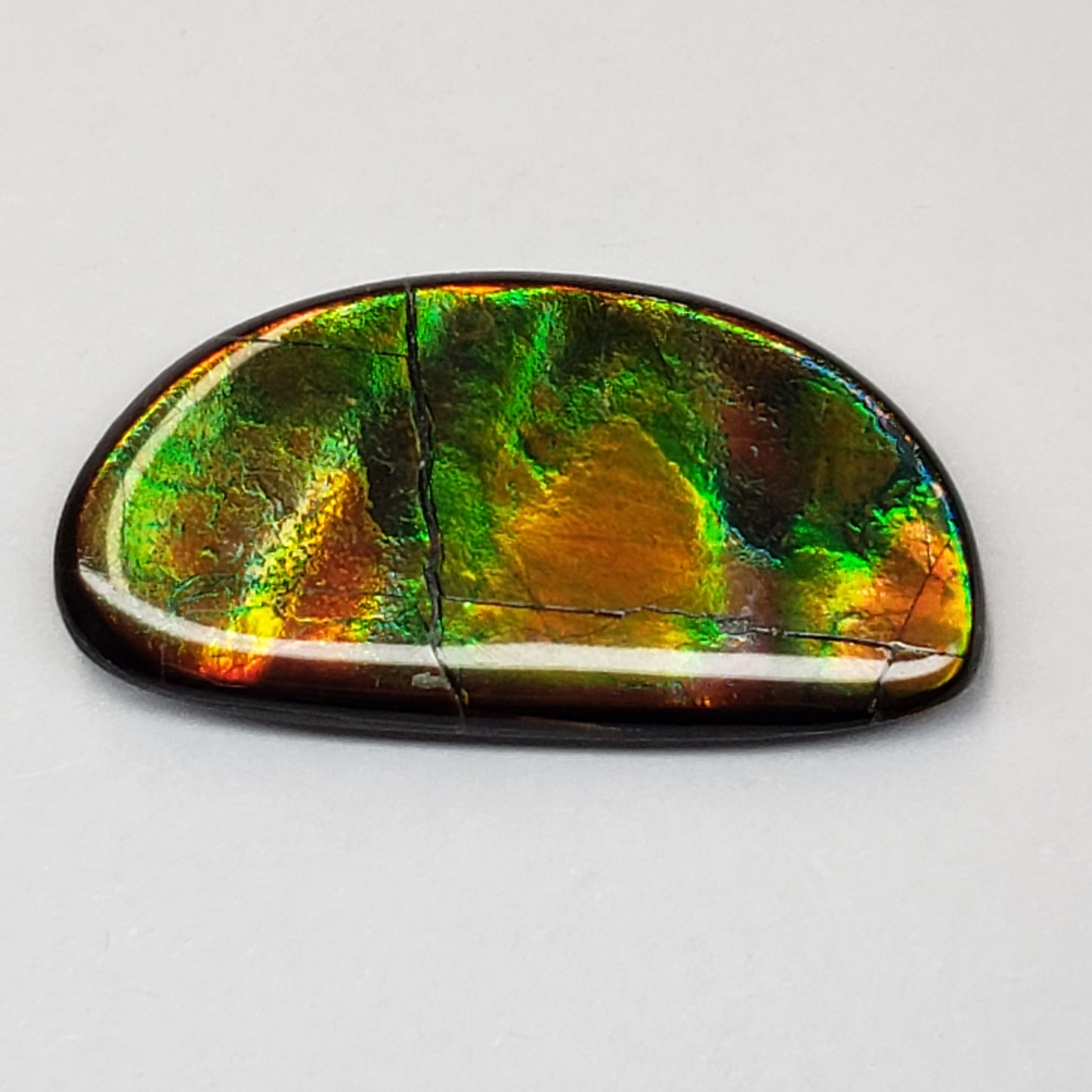 13x26mm Ammolite Canada's Opal Natural Free Form 2 Color Green & Gold Gemstone