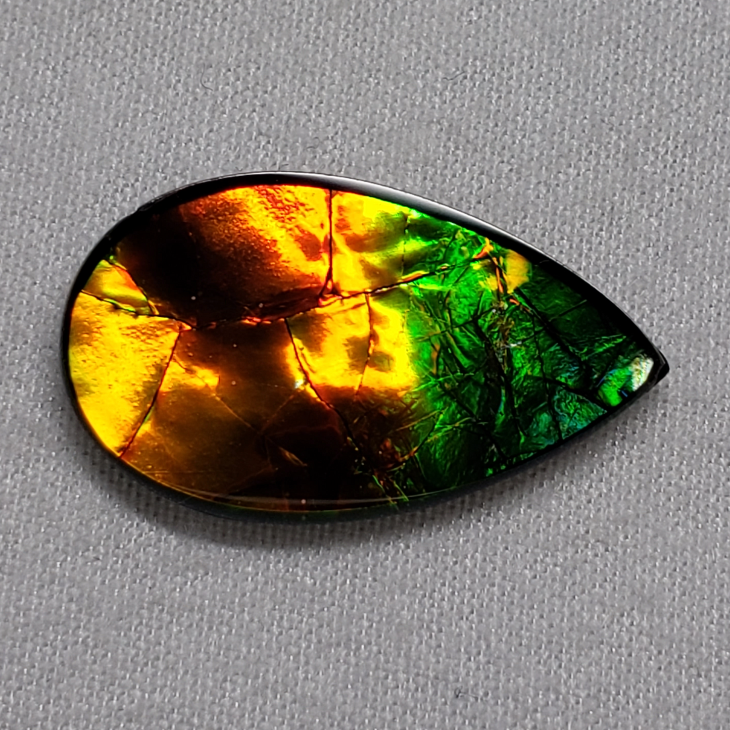 Pear-Shaped Green & Gold Ammolite – 22x13mm Triplet Gem from Canada – Rare Dragon Skin Gemstone for Jewelry Making