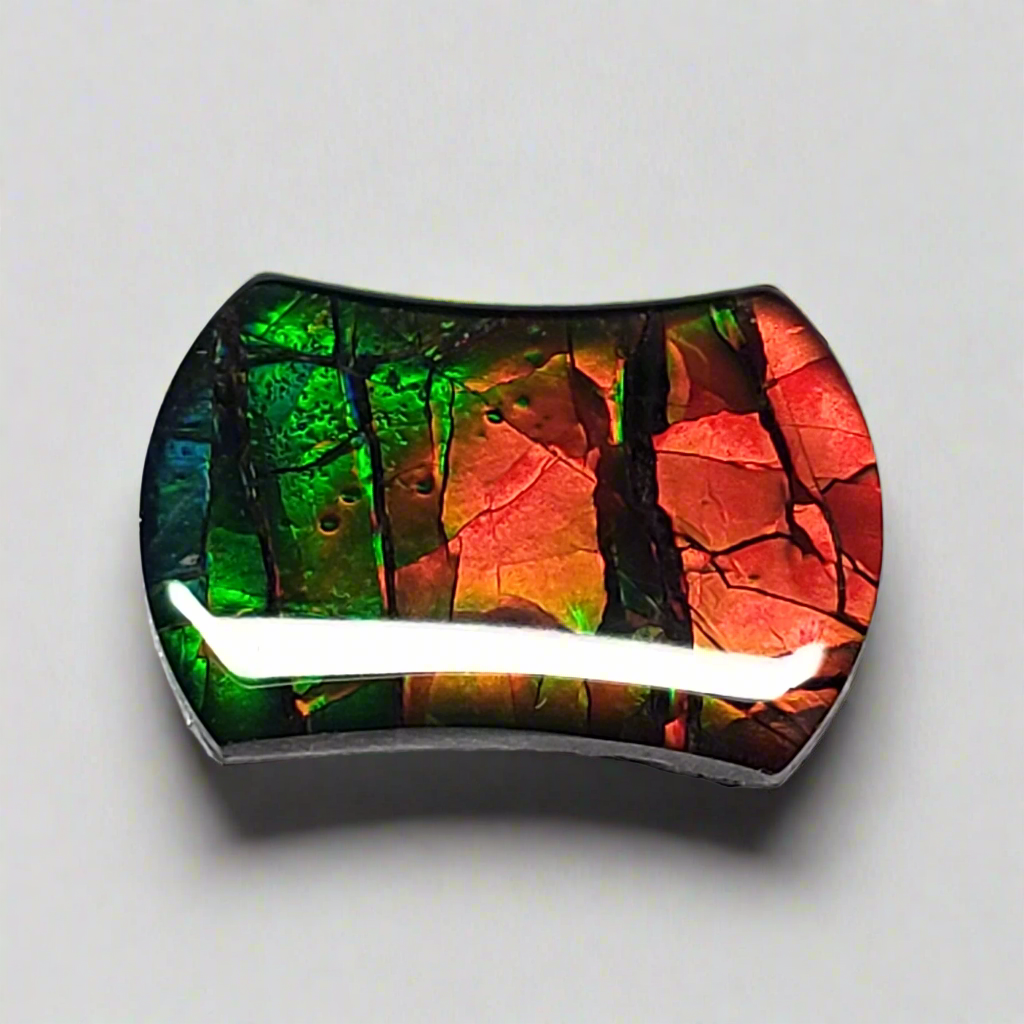 14x10mm Dragon Skin Ammolite – Freeform Gold Orange Green Gem – Canadian Fossil