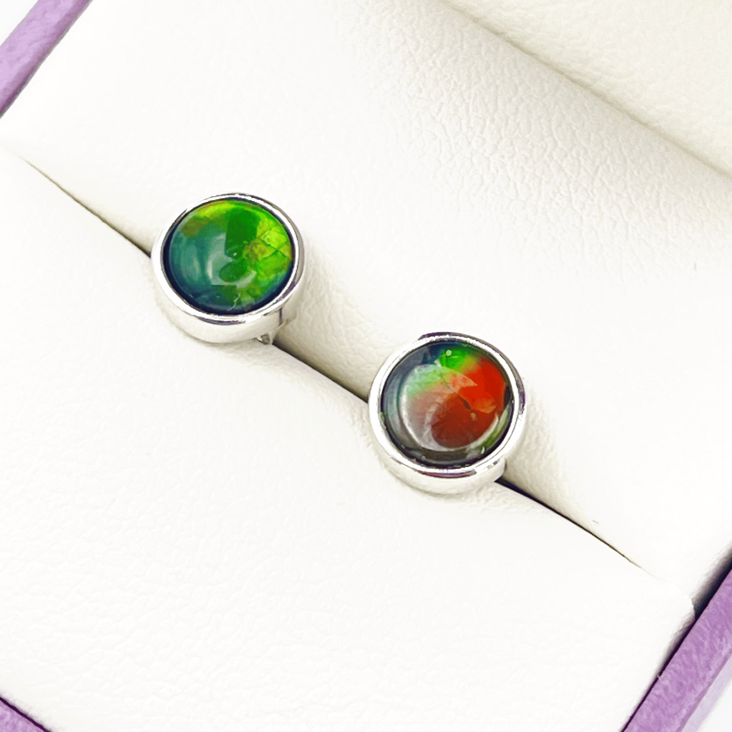Rare Ammolite Multicolor Studs in Sterling Silver