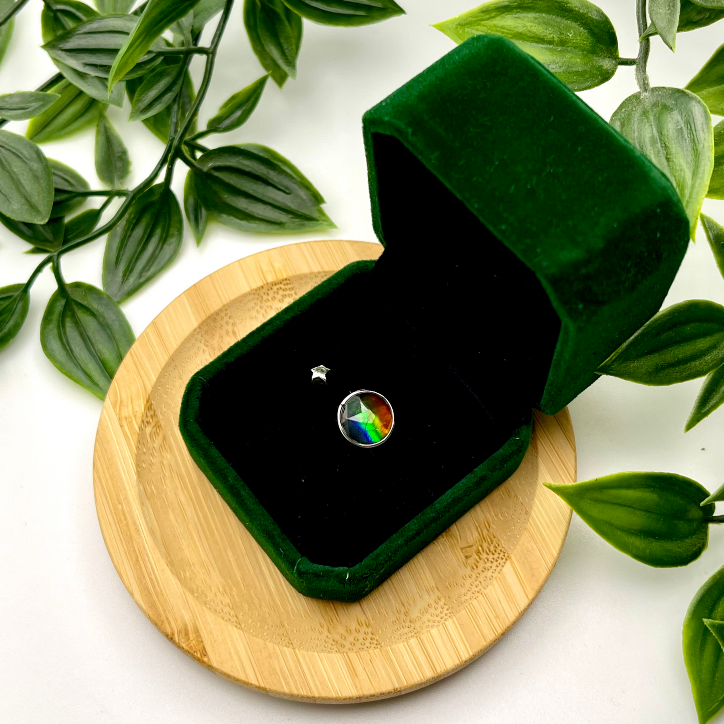 Canadian Ammolite Sterling Silver Star Open Ring Free Size – 9x9mm Multicolor Gem