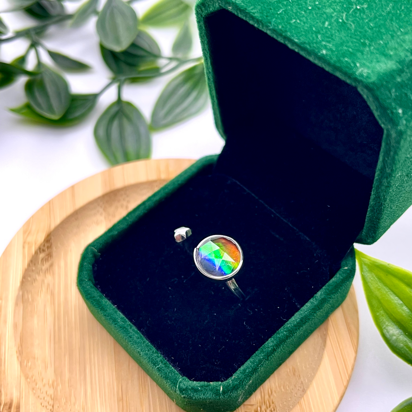 Canadian Ammolite Sterling Silver Star Open Ring Free Size – 9x9mm Multicolor Gem