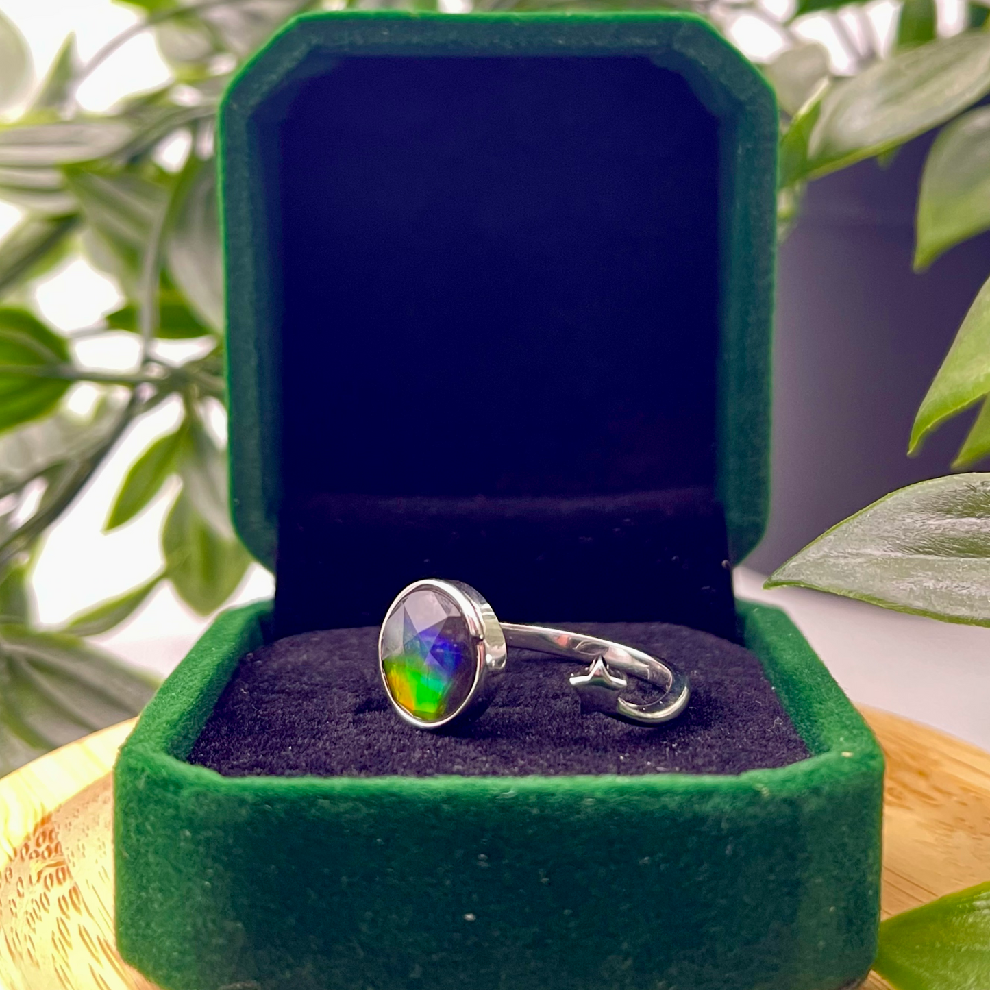 Canadian Ammolite Sterling Silver Star Open Ring Free Size – 9x9mm Multicolor Gem