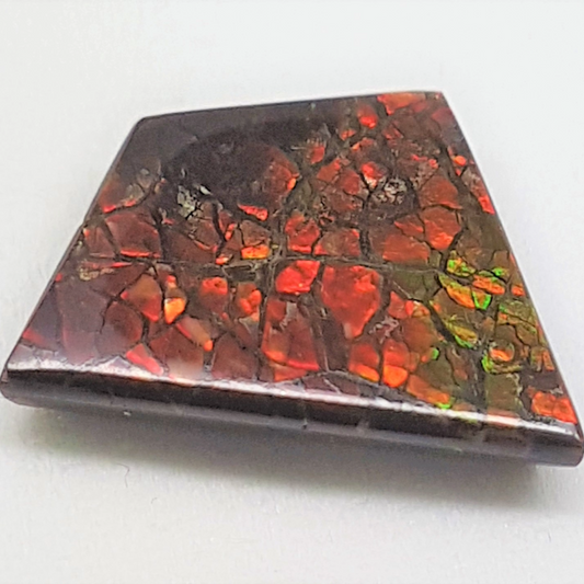 Ammolite "Canada's Opal" Fancy Cut Dragon Skin Triplet – 12x17mm Vivid Red Gem