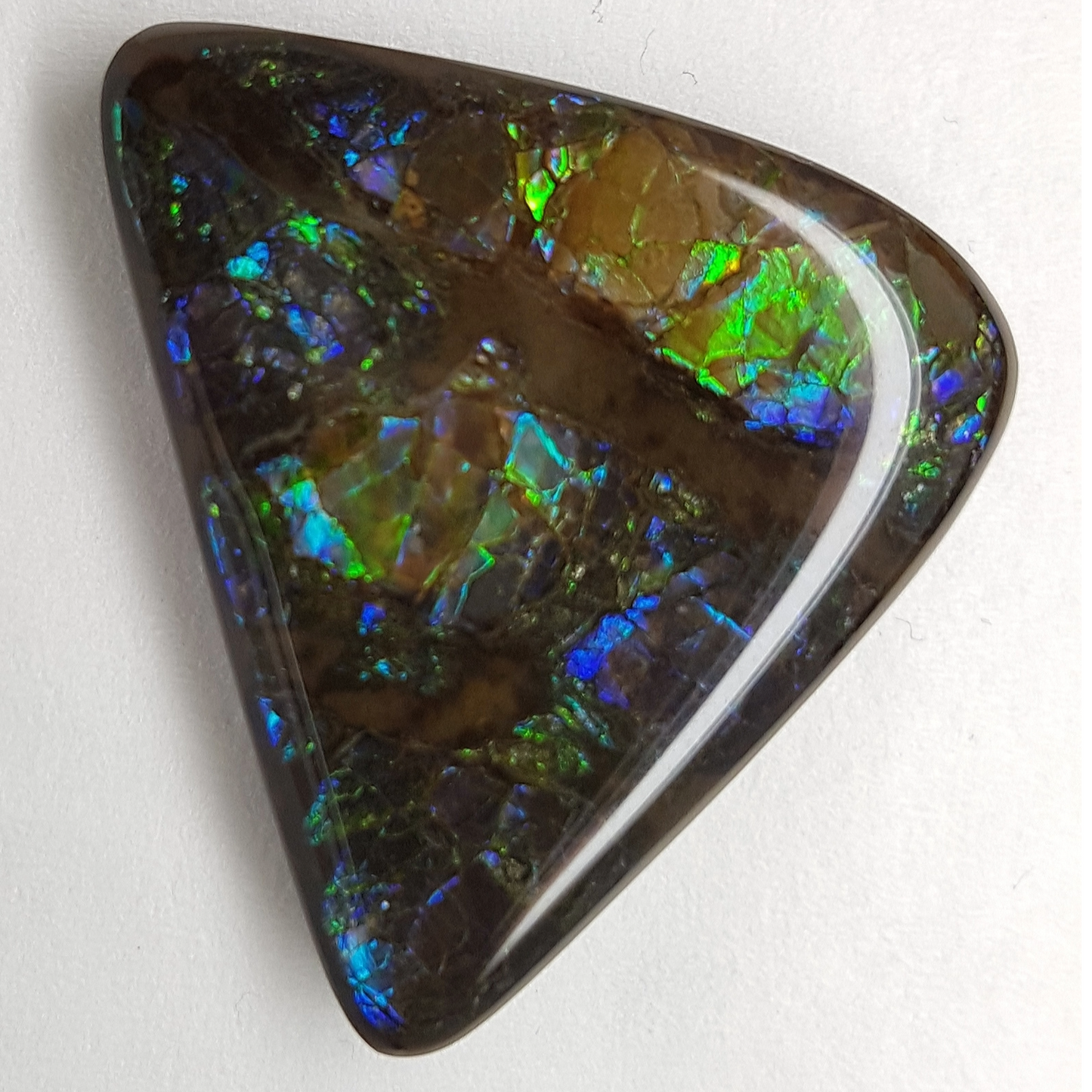 Genuine Canadian 27x29mm A-Grade Free-Form Ammolite Gemstone – Blue & Green