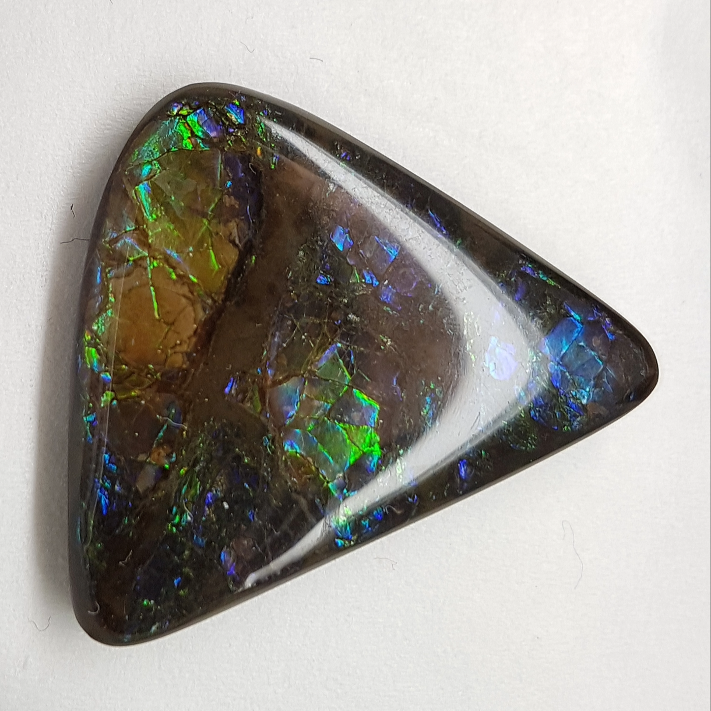 Genuine Canadian 27x29mm A-Grade Free-Form Ammolite Gemstone – Blue & Green