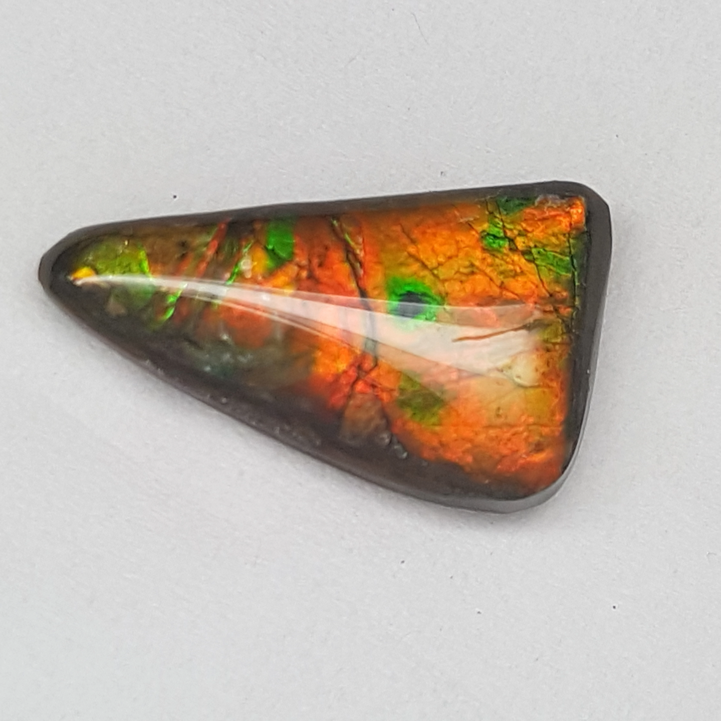 Green & Gold 16x26mm AA Free-Form Ammolite Gemstone