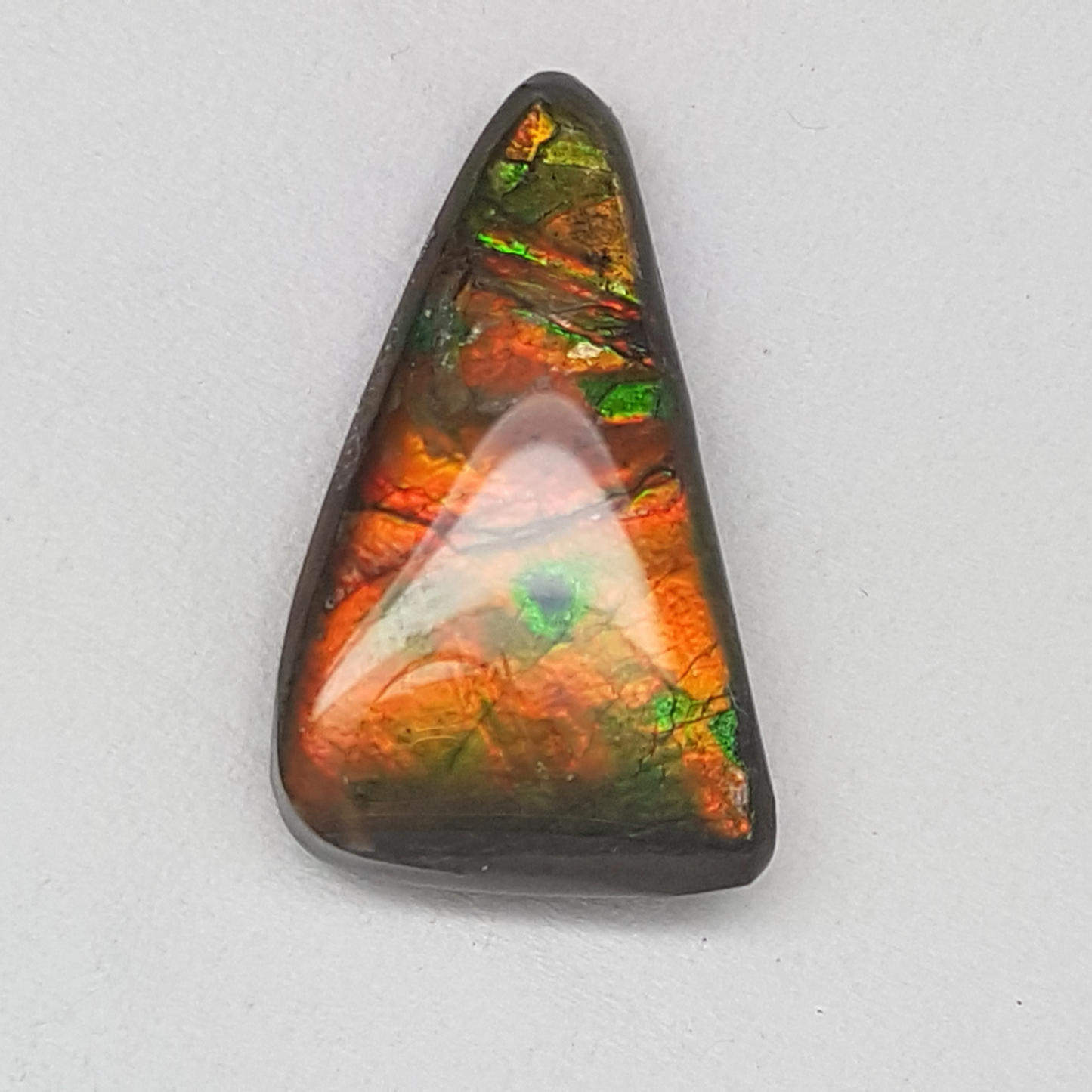 Green & Gold 16x26mm AA Free-Form Ammolite Gemstone