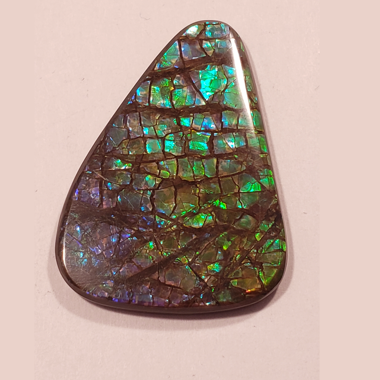 Genuine Freeform Dragon Skin Ammolite Gem – Green with a Hint of Blue and Purple 36x26mm