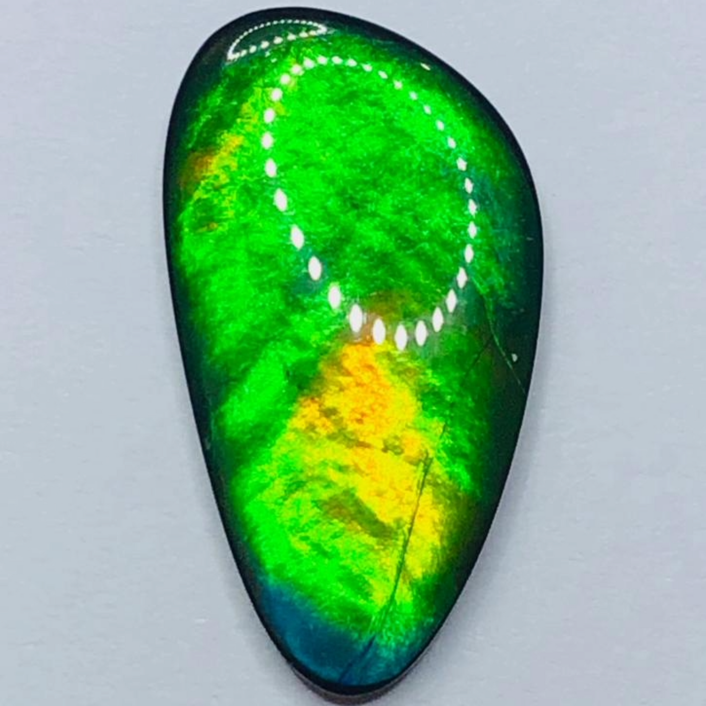 Genuine Ammolite "Canada’s Opal" – 22x12mm Free-Form A-Grade Vivid Green Gem