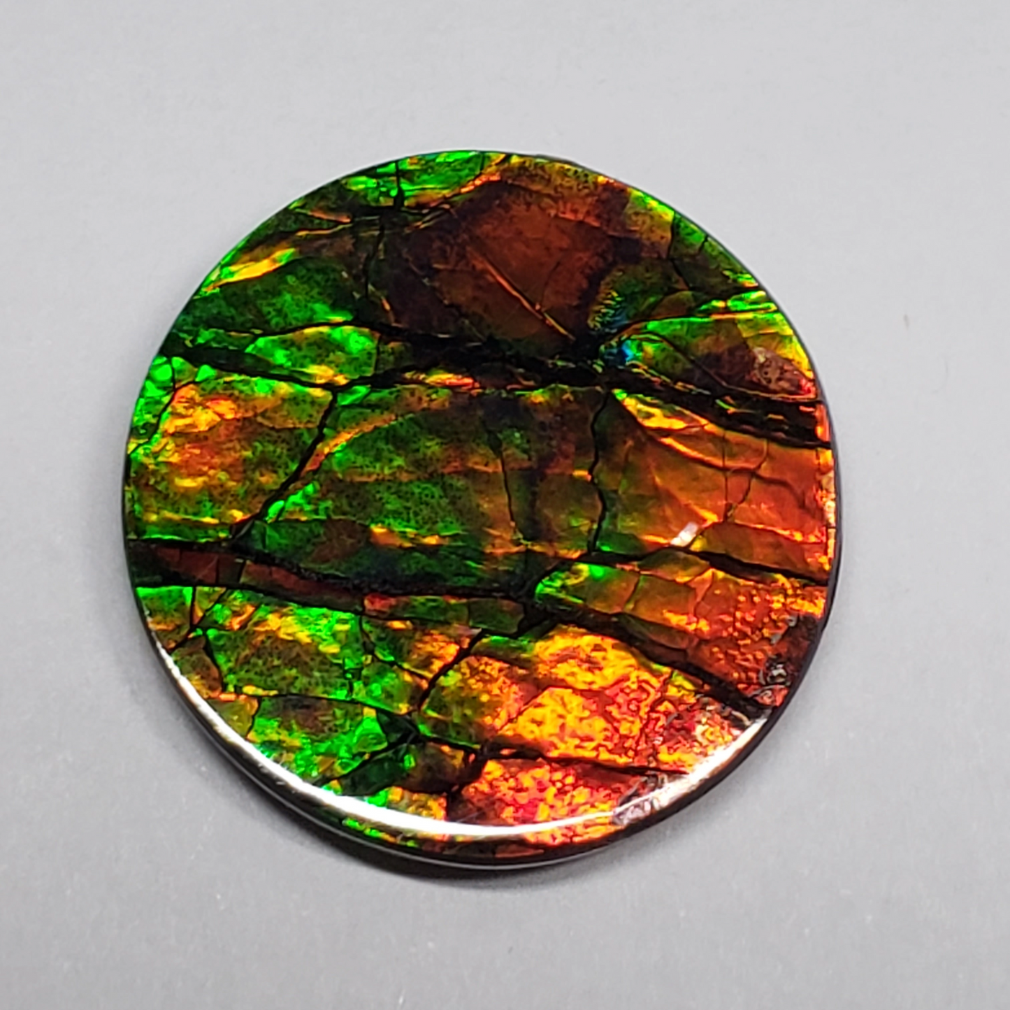 Ammolite Canada's Opal 22x22mm Round Shape Triplet 2 Color Gold & Green Gemstone
