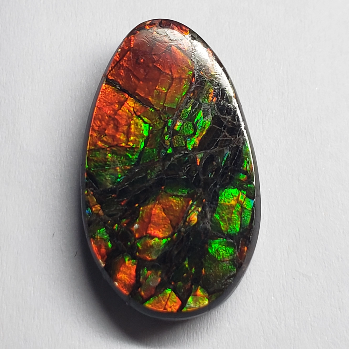Dragon Skin Ammolite Gemstone – 23x13mm Oval Triplet – Green & Orange Fire – Canadian Opal for Jewelry Making
