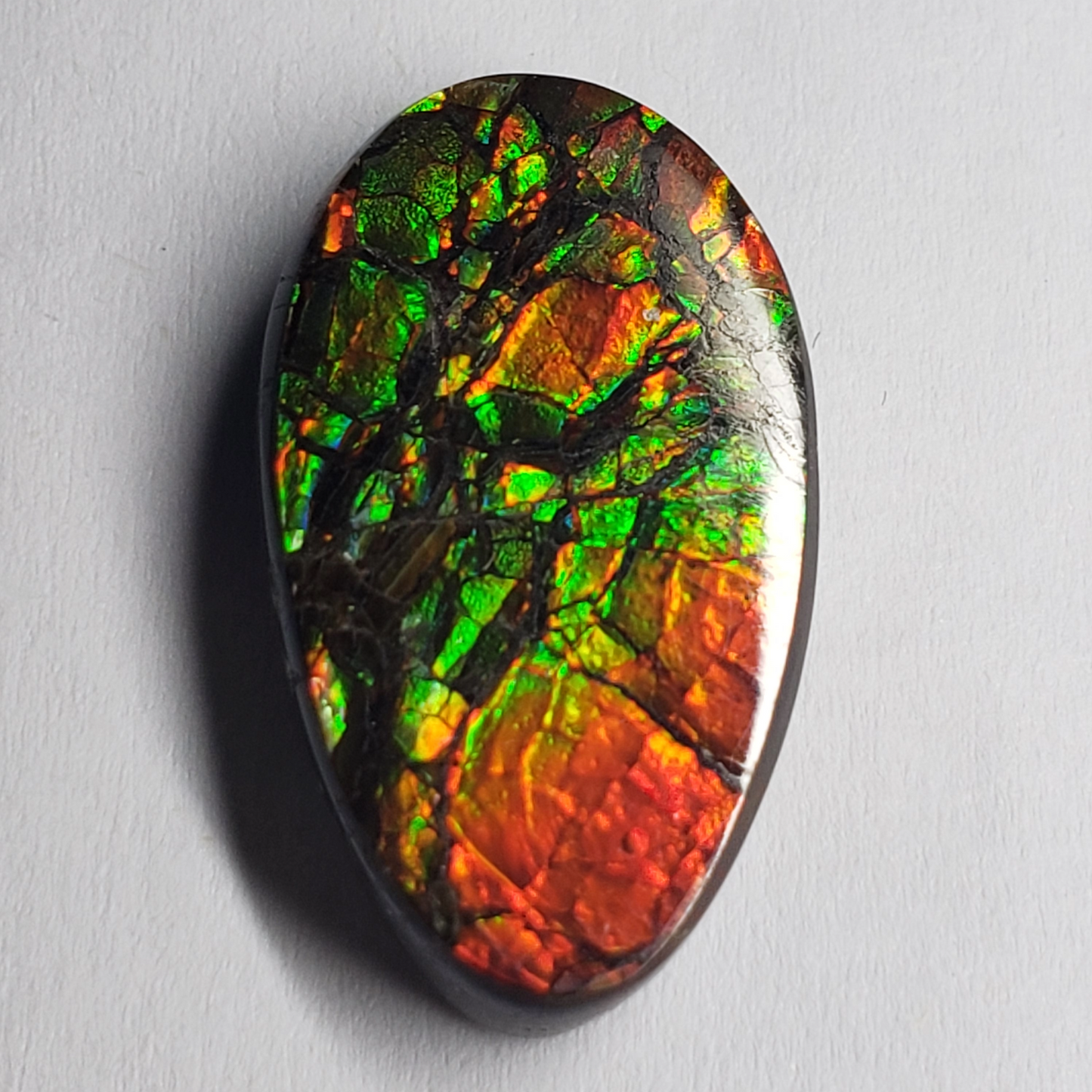 Dragon Skin Ammolite Gemstone – 23x13mm Oval Triplet – Green & Orange Fire – Canadian Opal for Jewelry Making