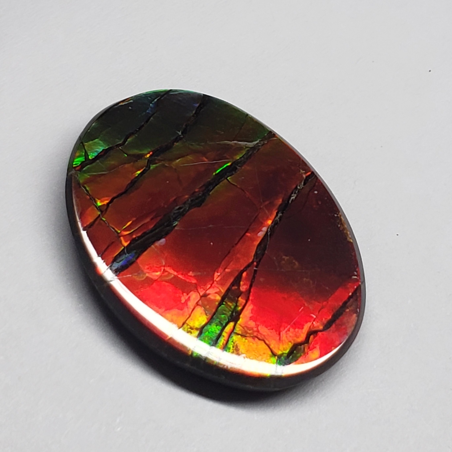 Rare AAA 24x18mm Oval Ammolite Triplet – Dragon Skin Rainbow Gem – Canadian Fossil Stone
