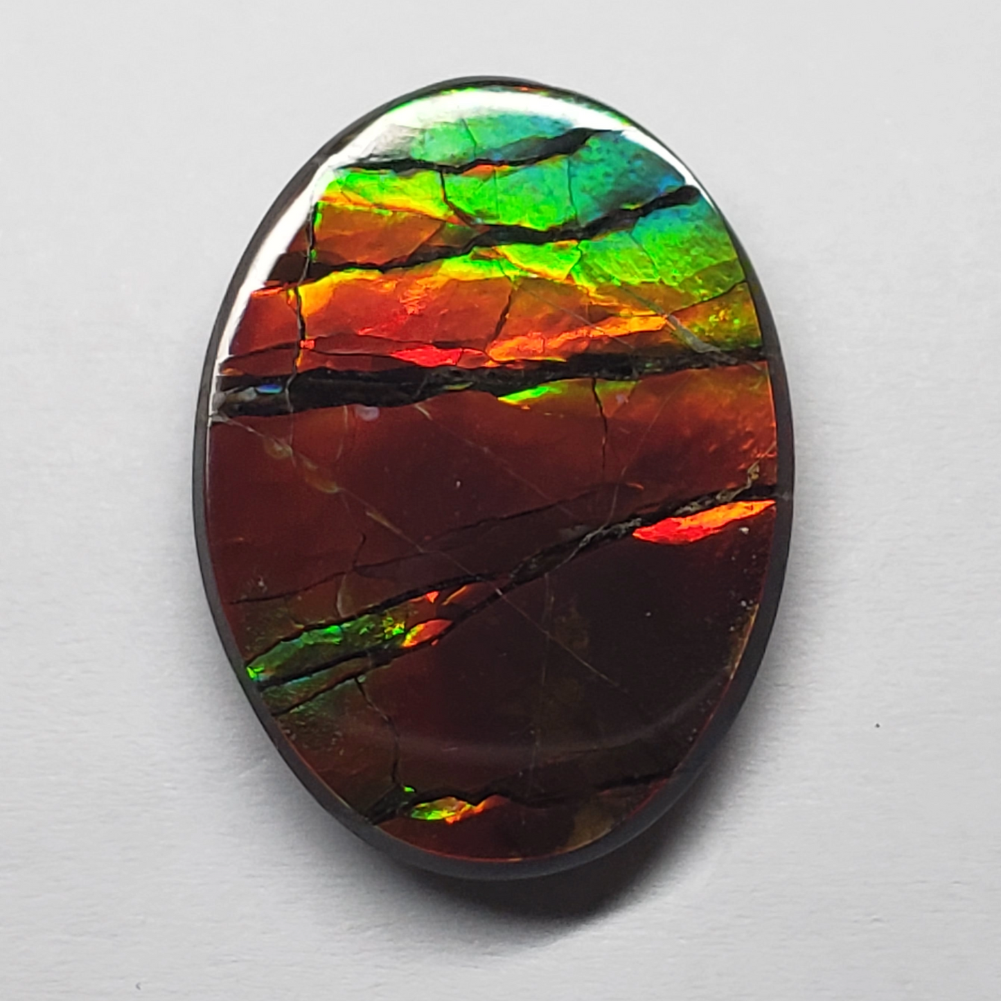 Rare AAA 24x18mm Oval Ammolite Triplet – Dragon Skin Rainbow Gem – Canadian Fossil Stone