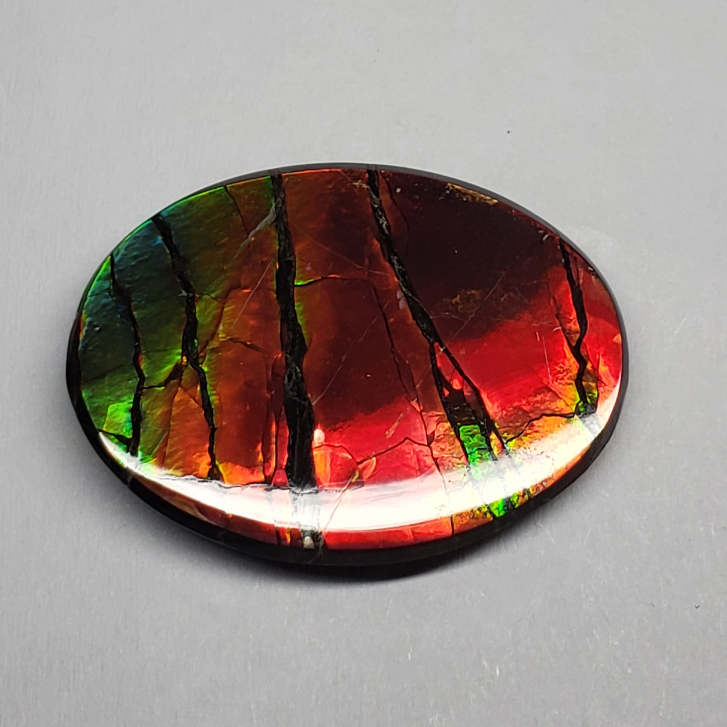 Rare AAA 24x18mm Oval Ammolite Triplet – Dragon Skin Rainbow Gem – Canadian Fossil Stone