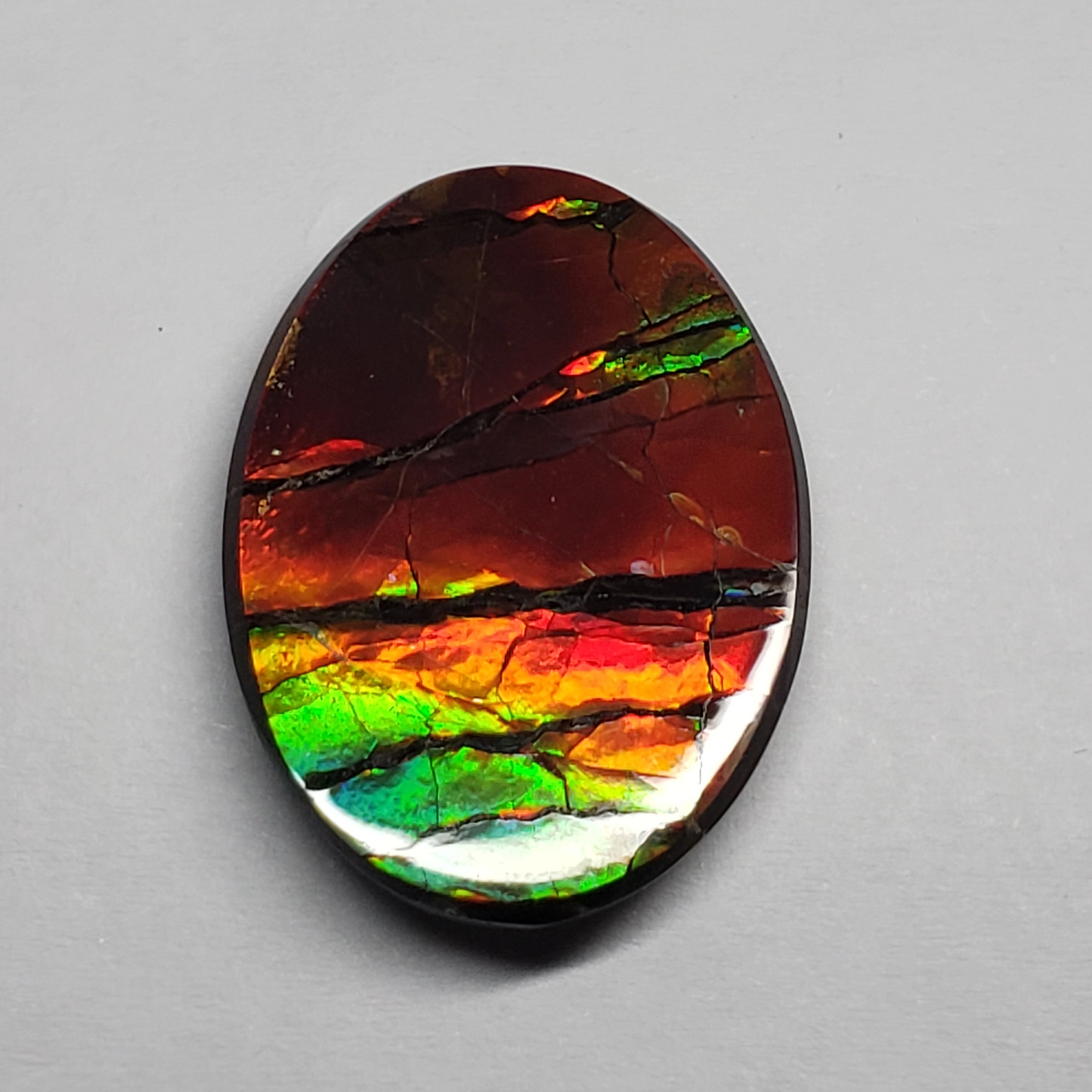 Rare AAA 24x18mm Oval Ammolite Triplet – Dragon Skin Rainbow Gem – Canadian Fossil Stone