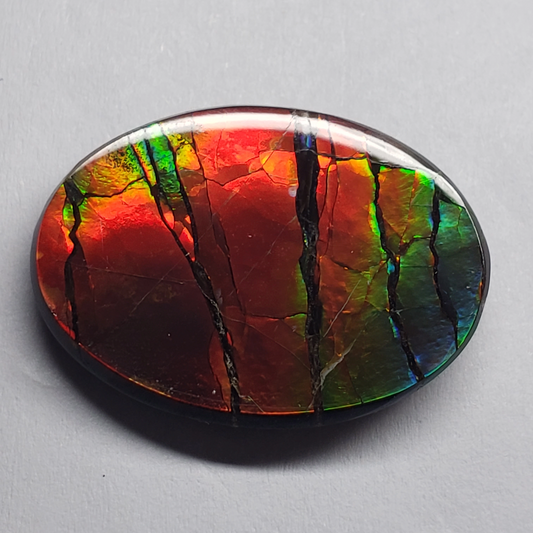 Rare AAA 24x18mm Oval Ammolite Triplet – Dragon Skin Rainbow Gem – Canadian Fossil Stone