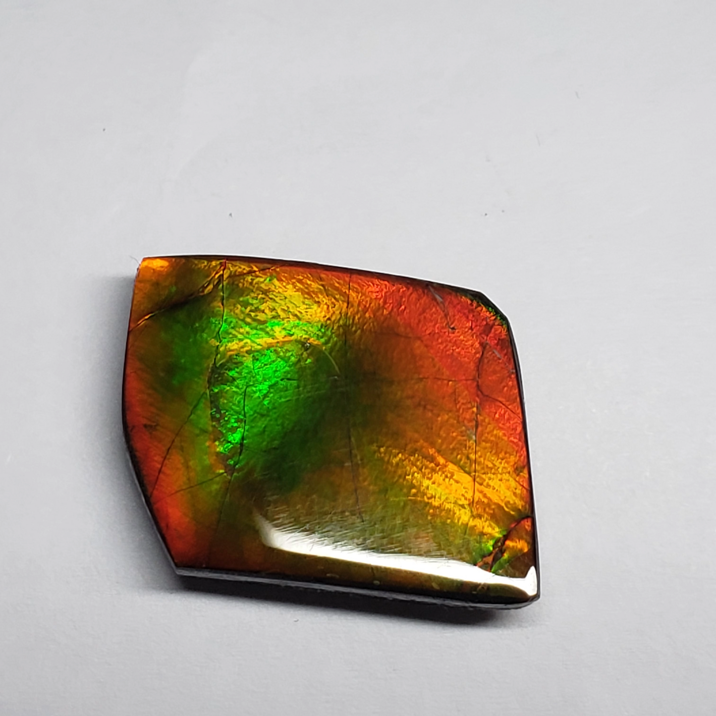 Ammolite Canada's Opal Natural Free Form 2 Color Green & Gold Gemstone 17x22mm