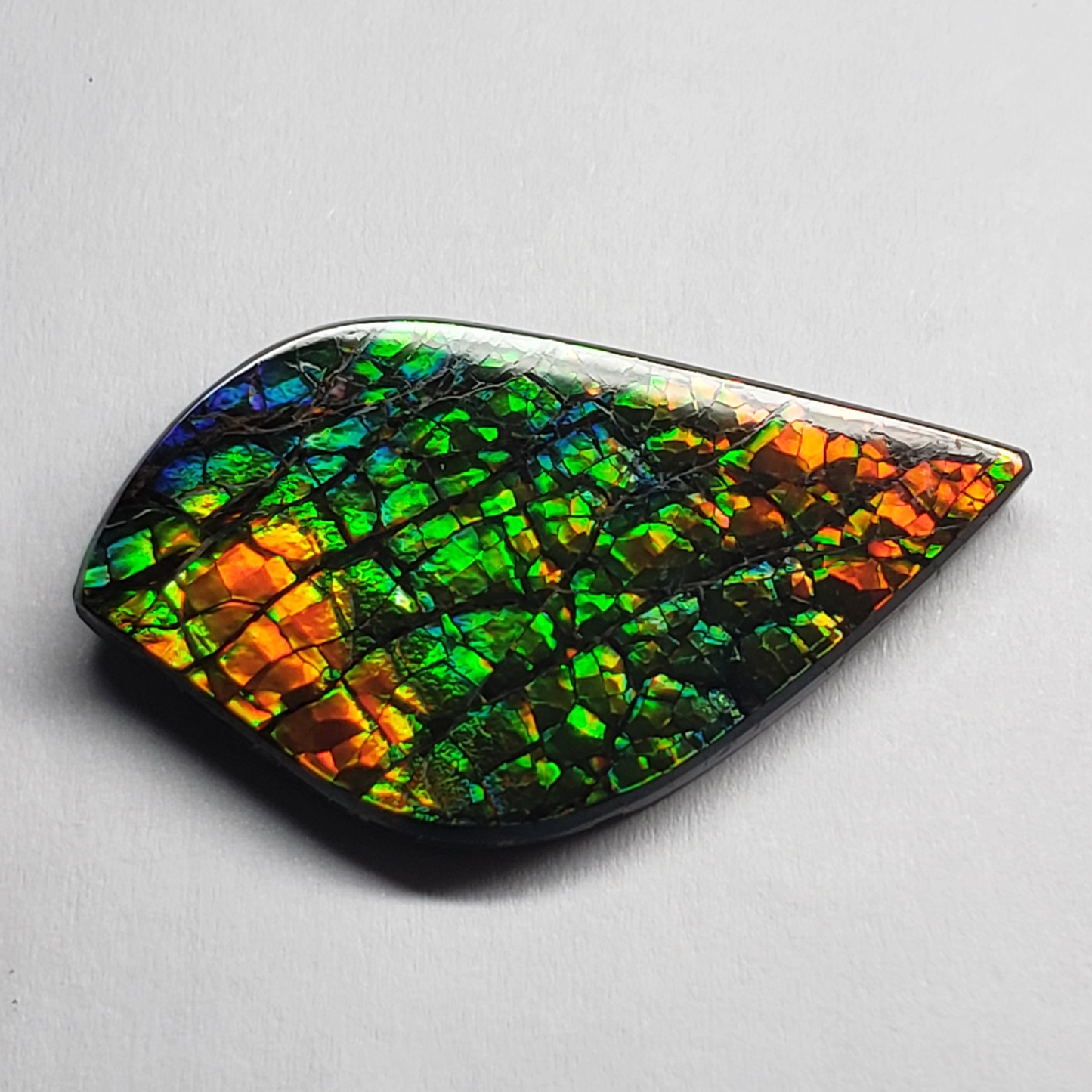Dragon Skin Ammolite Gem – 32x18mm Freeform Green & Gold Fossil – Rare Canadian Stone
