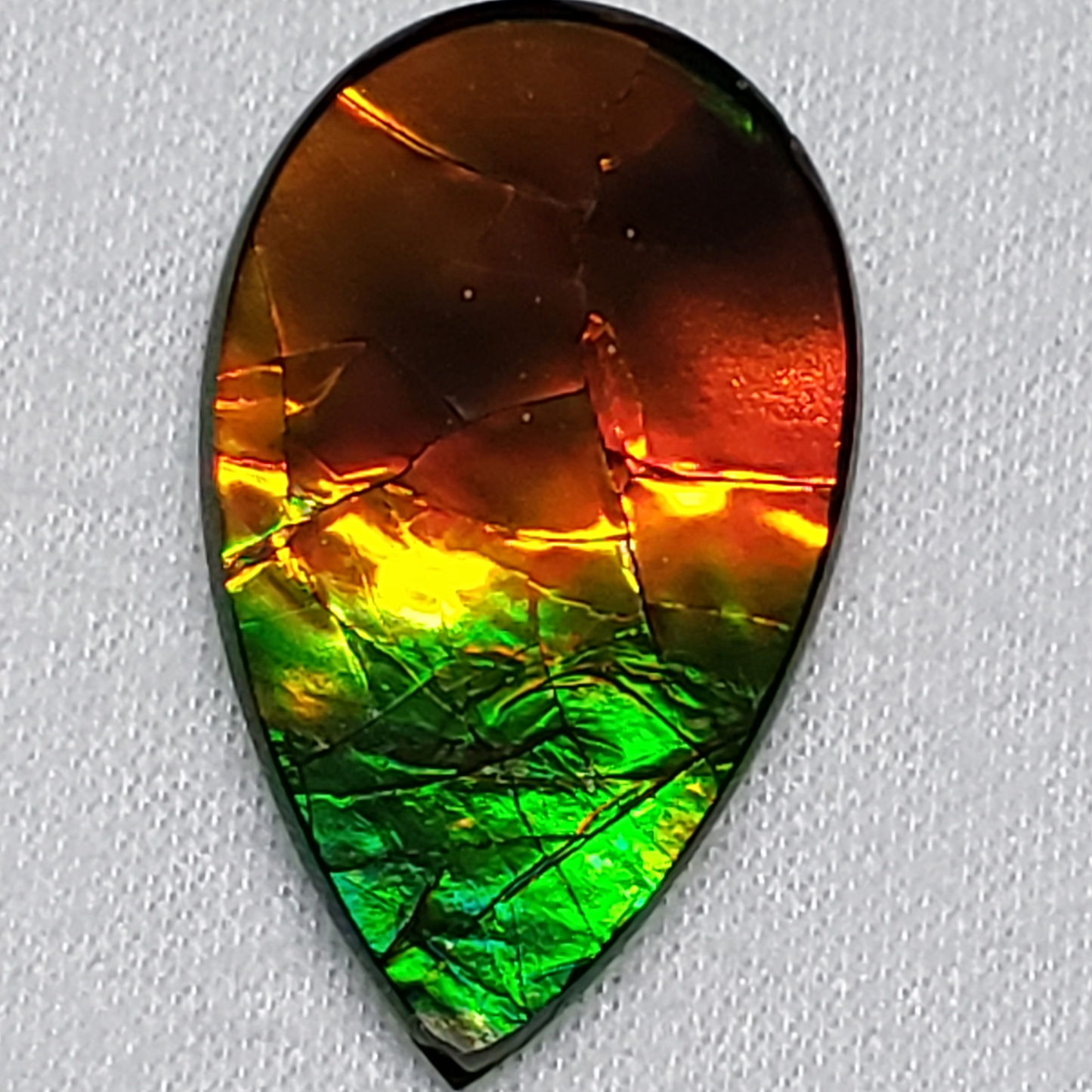 Pear-Shaped Green & Gold Ammolite – 22x13mm Triplet Gem from Canada – Rare Dragon Skin Gemstone for Jewelry Making
