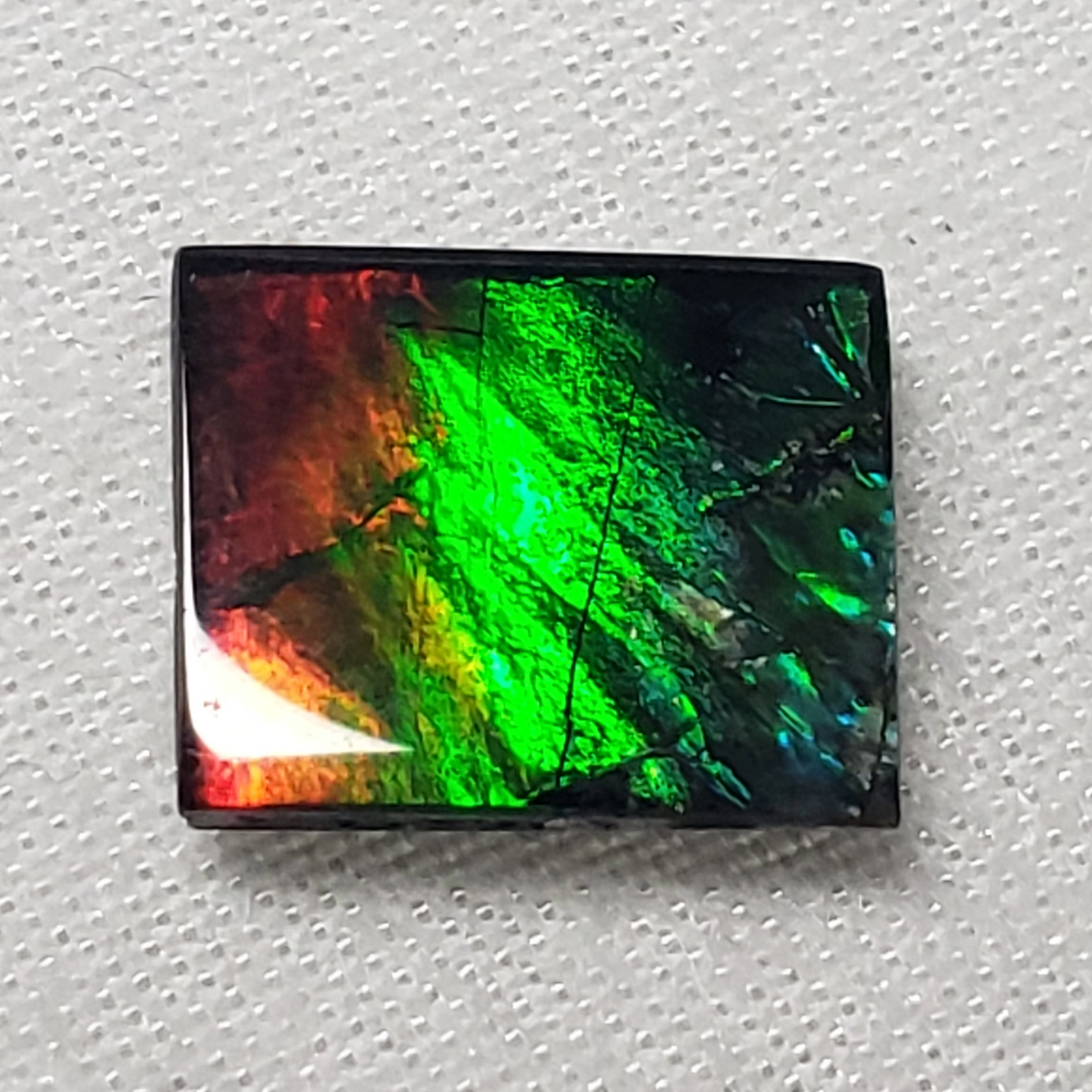 Vibrant 10x8.5mm Square Ammolite – Red & Green Gem – Rare Canadian Fossil Stone
