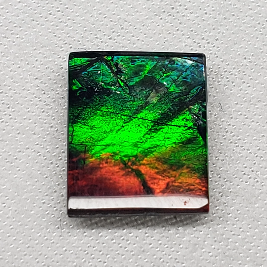 Vibrant 10x8.5mm Square Ammolite – Red & Green Gem – Rare Canadian Fossil Stone