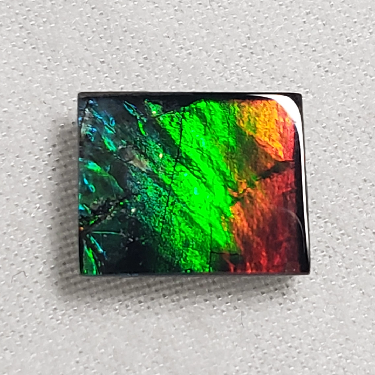 Vibrant 10x8.5mm Square Ammolite – Red & Green Gem – Rare Canadian Fossil Stone