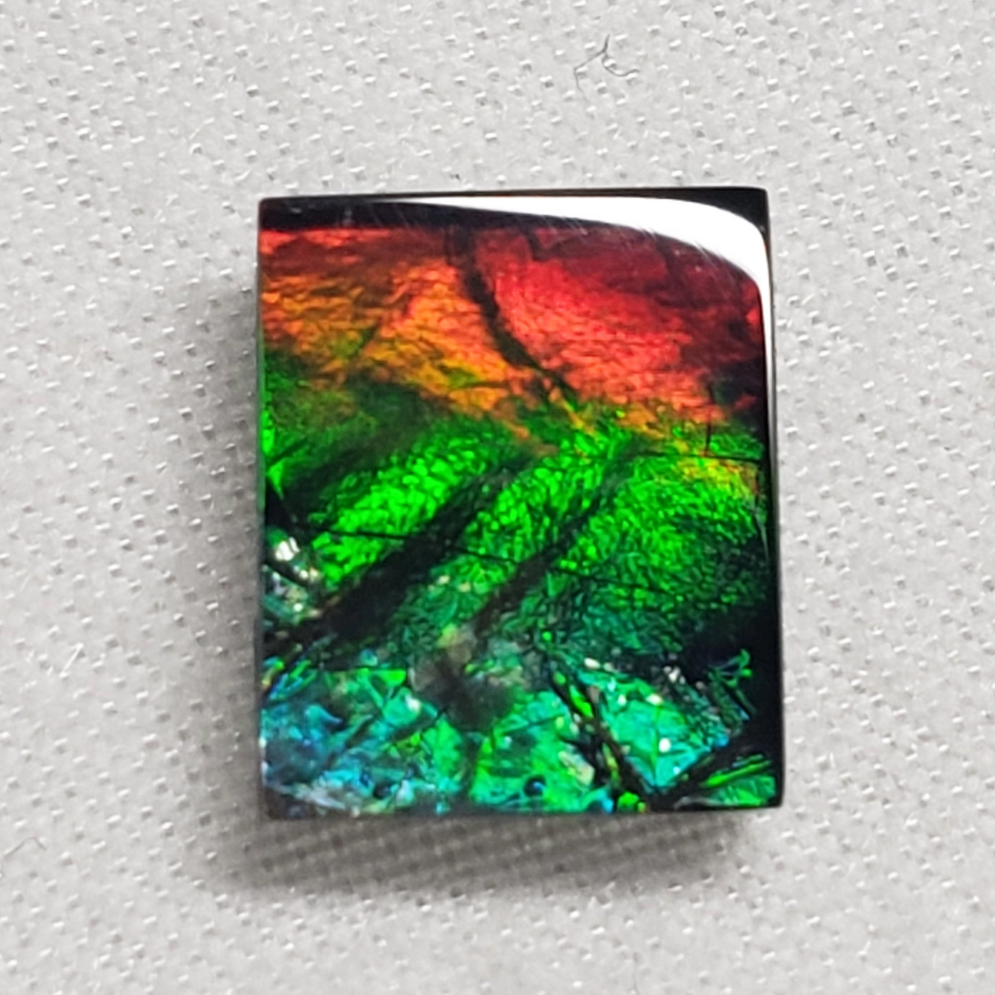 Vibrant 10x8.5mm Square Ammolite – Red & Green Gem – Rare Canadian Fossil Stone