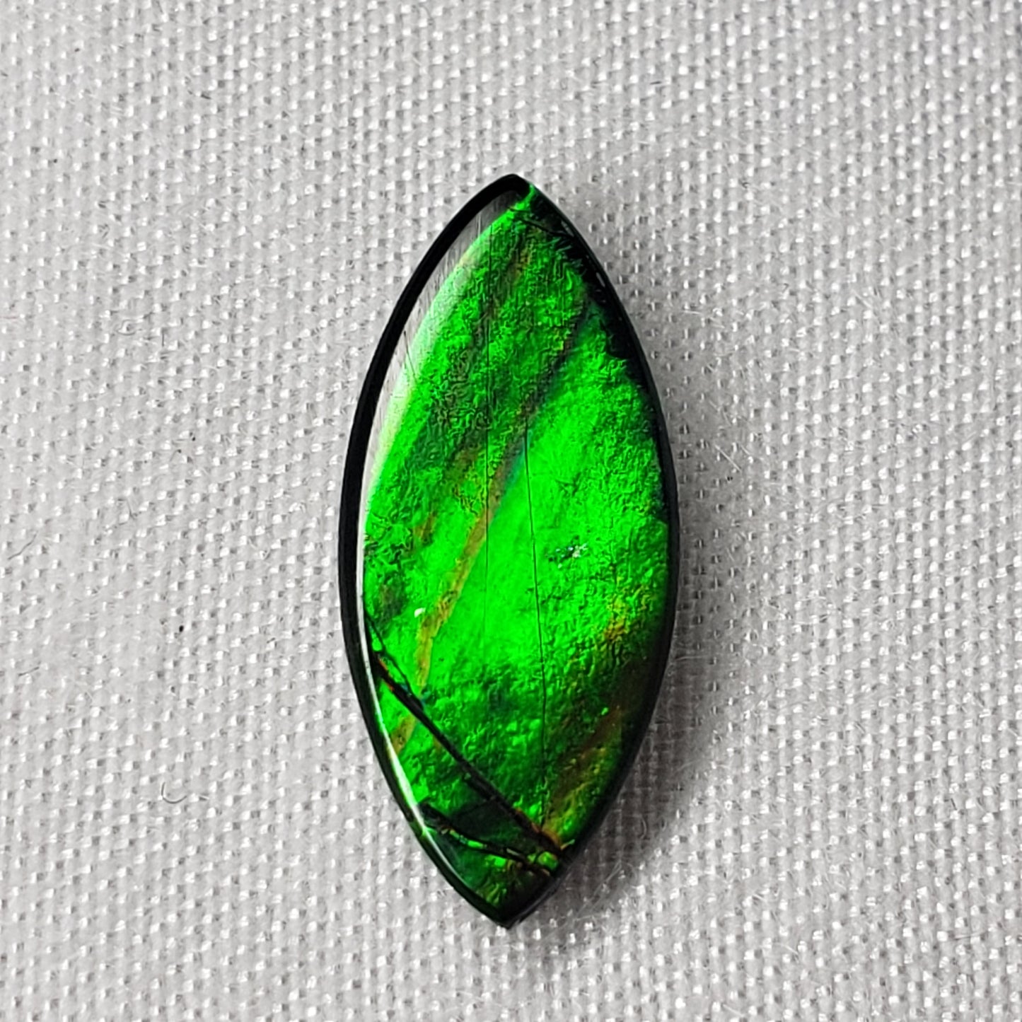 16x7mm Marquise Ammolite – Bright Green & Gold – Canadian Organic Fossil Gem