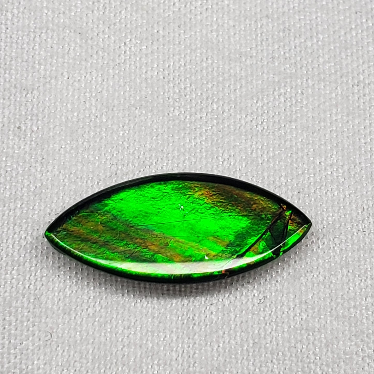 16x7mm Marquise Ammolite – Bright Green & Gold – Canadian Organic Fossil Gem