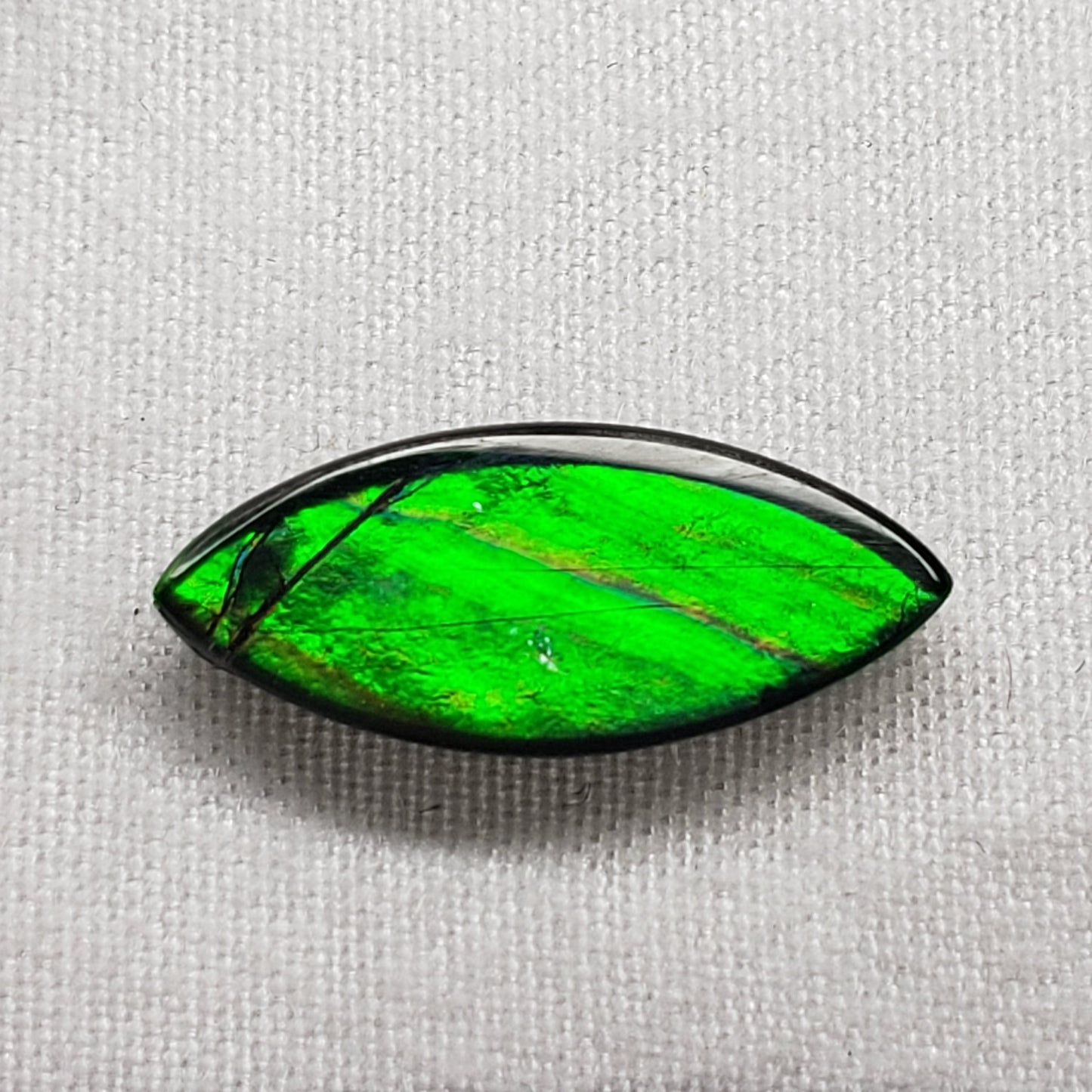 16x7mm Marquise Ammolite – Bright Green & Gold – Canadian Organic Fossil Gem