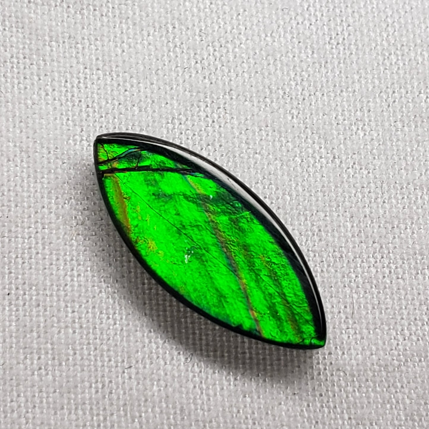 16x7mm Marquise Ammolite – Bright Green & Gold – Canadian Organic Fossil Gem
