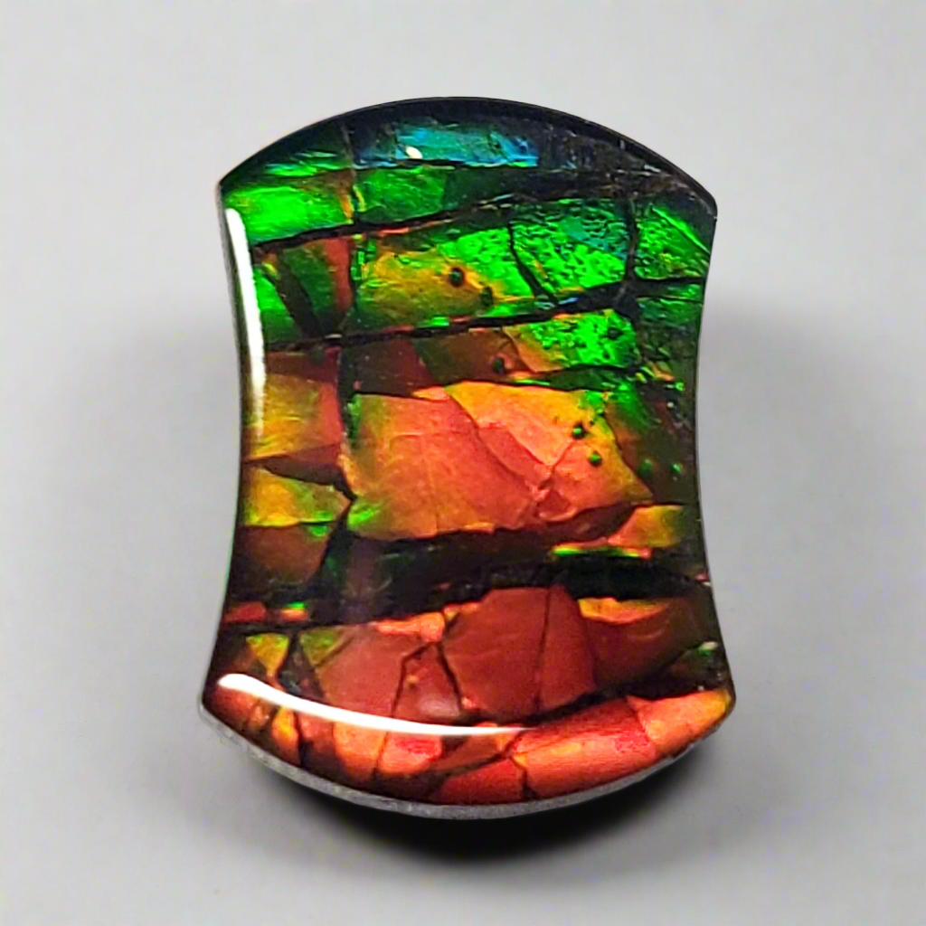 14x10mm Dragon Skin Ammolite – Freeform Gold Orange Green Gem – Canadian Fossil