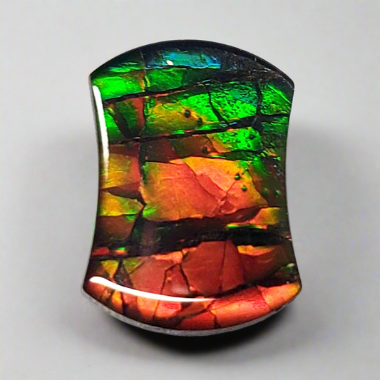 14x10mm Dragon Skin Ammolite – Freeform Gold Orange Green Gem – Canadian Fossil
