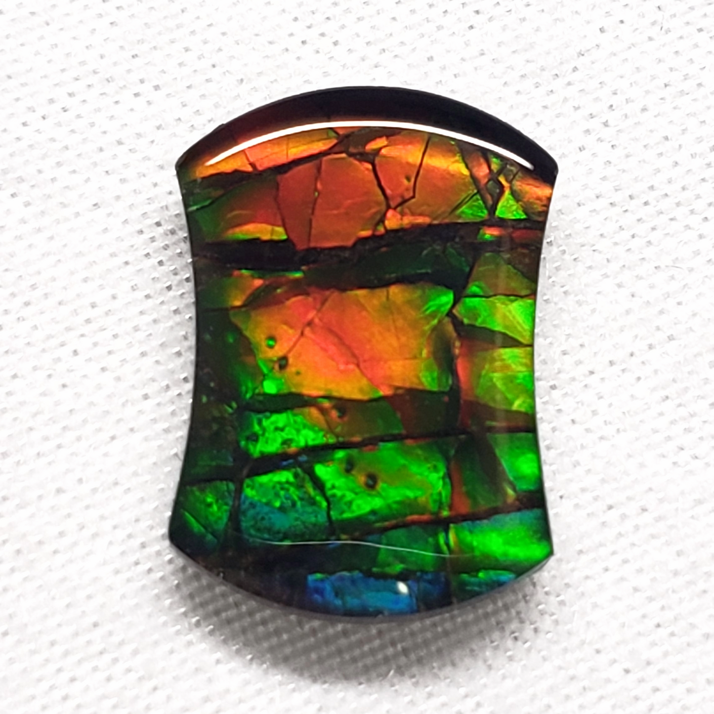 14x10mm Dragon Skin Ammolite – Freeform Gold Orange Green Gem – Canadian Fossil