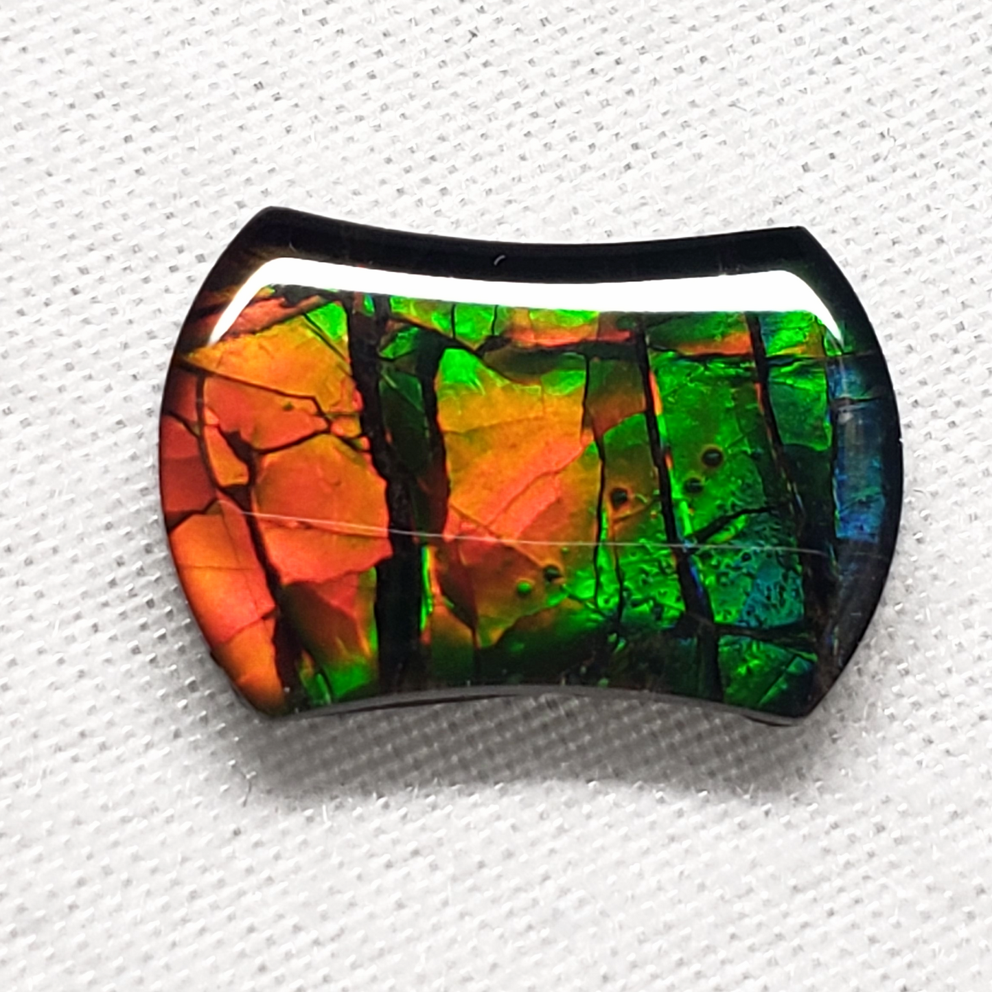 14x10mm Dragon Skin Ammolite – Freeform Gold Orange Green Gem – Canadian Fossil