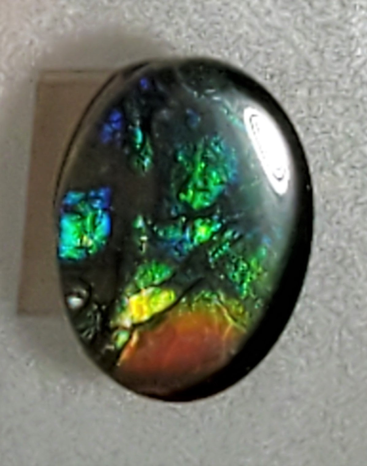 Oval Ammolite 8x6mm Triplet – Red & Green Gemstone – Canadian Fossil Jewelry Cabochon