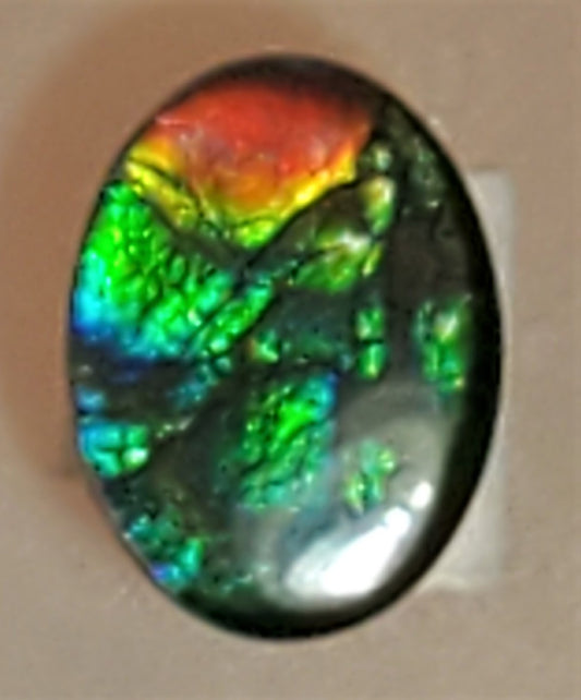 Oval Ammolite 8x6mm Triplet – Red & Green Gemstone – Canadian Fossil Jewelry Cabochon